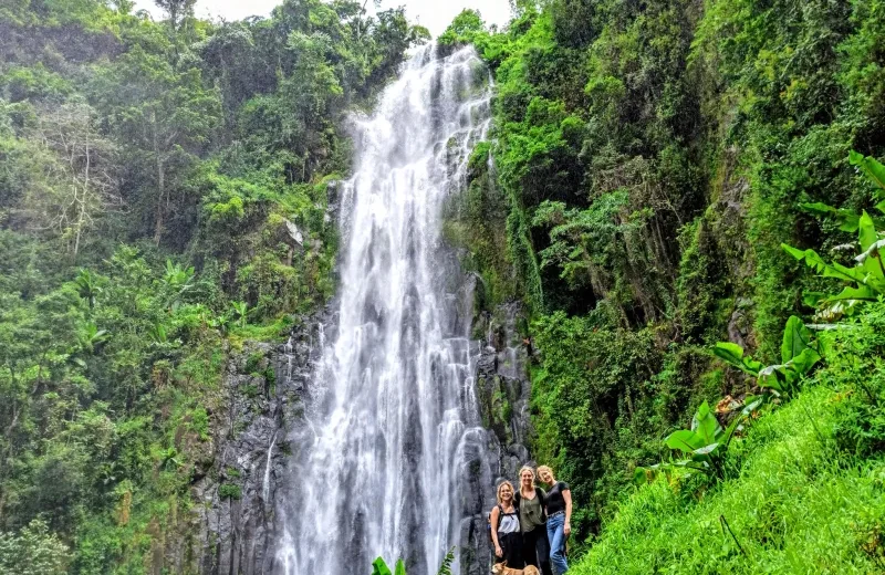 2 Days: Immersion  in the Ngorongoro Crater and Coffee Culture.