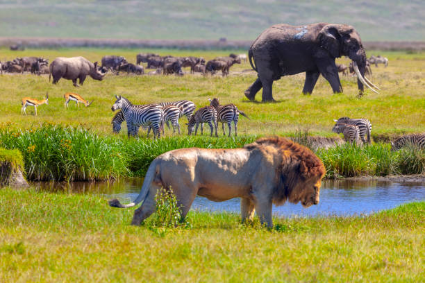 2 Days Private  Safari in Tarangire and Ngorongoro Crater